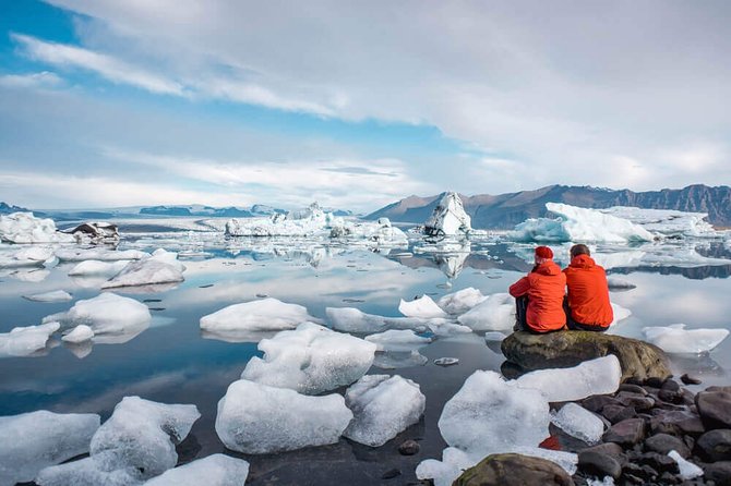 South Coast and Glacier Lagoon - Private - Reynisdrangar and Iceland’s seabirds