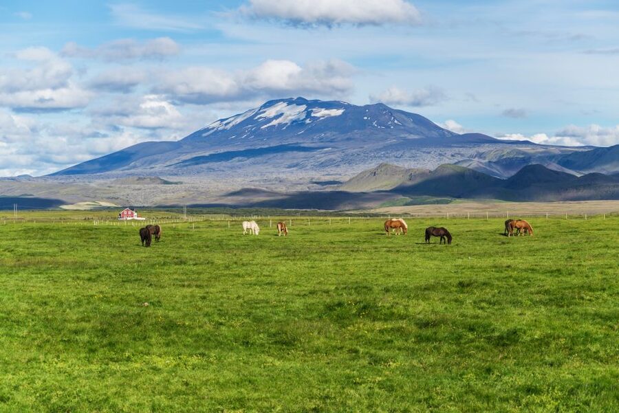 South Coast Classic: Full-Day Tour from Reykjavik - The long ride from Reykjavík to Hvolsvöllur
