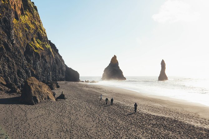 South Coast Day Tour Black Sand Beach & Waterfalls from Reykjavik - What the $109.80 price really covers