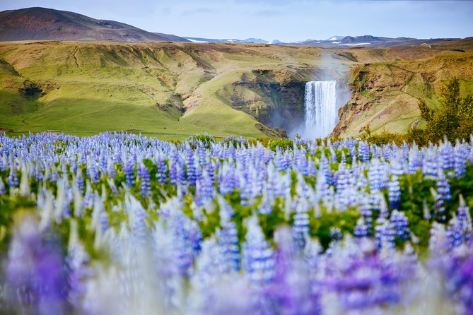 South Coast Iceland from Reykjavik with Guide & Touchscreen Audio - Seljalandsfoss and the famous rear path
