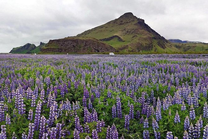 South Coast. Private Day Tour from Reykjavik - Seljalandsfoss: begin behind the falling water
