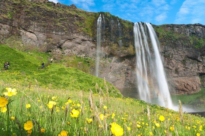 South Coast Sagas: Small Group Tour with Pick-up from Reykjavik - What the guide adds between the stops