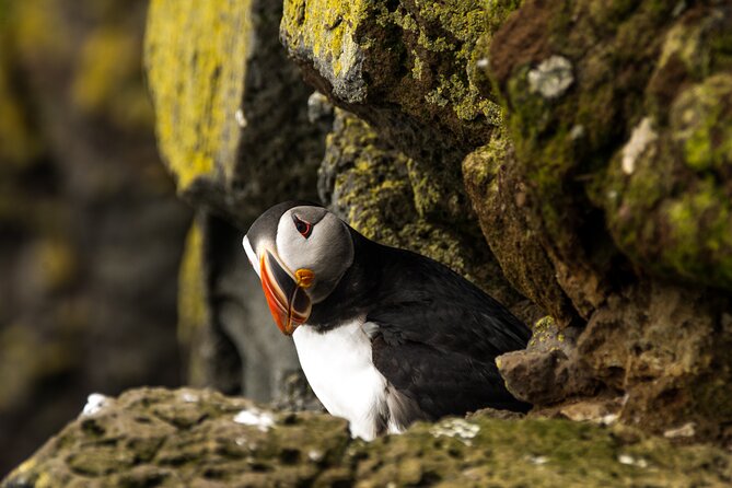 SOUTH COAST : The Discovery - The Guide Can Make the Difference