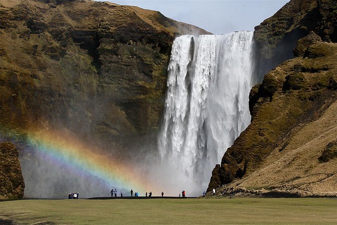 South Coast, Waterfalls and Black Beach Tour from Reykjavik - Solheimajokull: a close look at moving ice