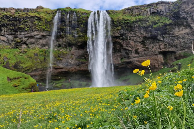 South Iceland, Glacier and Black Sand Beach Small Group Tour - Why this South Coast route works so well
