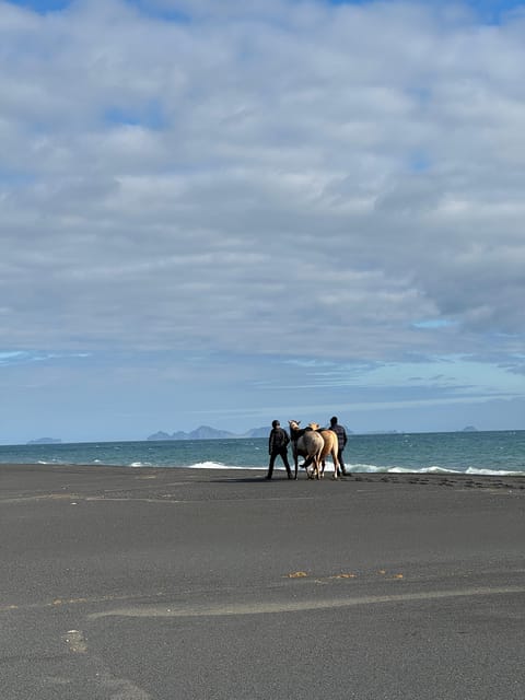 southern Iceland: Black beach riding tour - Guides who keep the ride approachable