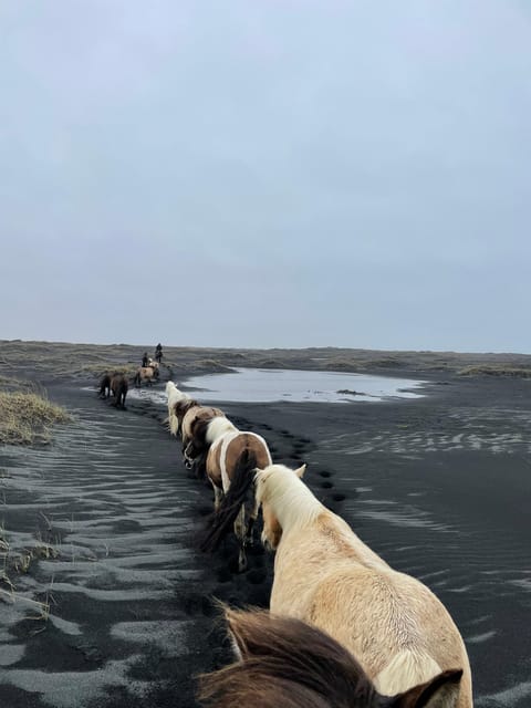 southern Iceland: Black beach riding tour - Clothing that makes or breaks the outing