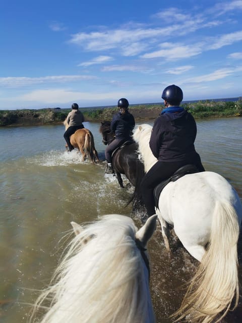 southern Iceland: Black beach riding tour - Price, timing, and the practical value