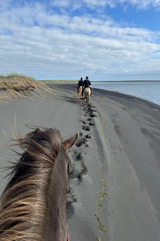 southern Iceland: Black beach riding tour - Who should book this ride