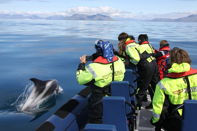 Speedboat Whale Watching Small-Group Tour in Reykjavik - Why the RIB changes whale watching