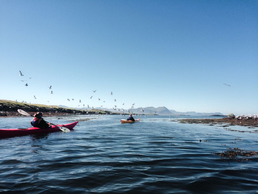 Stykkishólmur: 2-Hour Sea Kayak Tour - Paddling out from central Stykkishólmur
