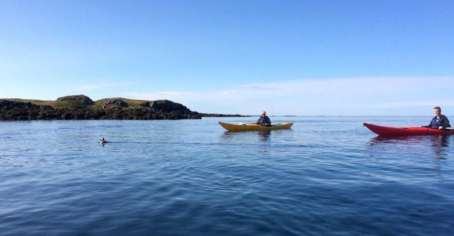 Stykkishólmur: 2-Hour Sea Kayak Tour - Shipwrecks, including the Thorgeir