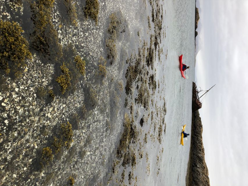 Stykkishólmur: 2-Hour Sea Kayak Tour - Practical advice before you book