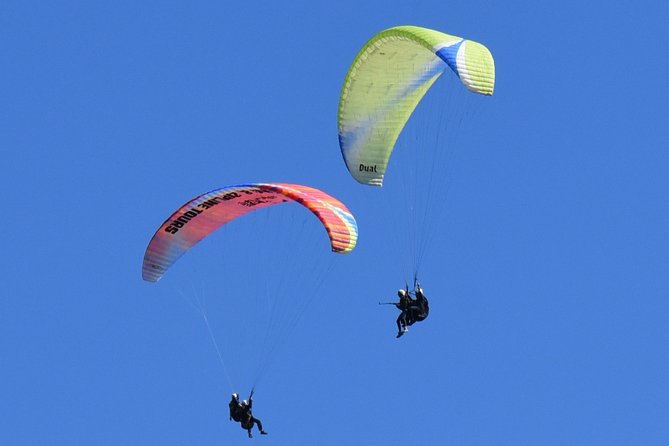 Tandem Paragliding Flights from Vik - Reynisfjall, black sand, and the view below