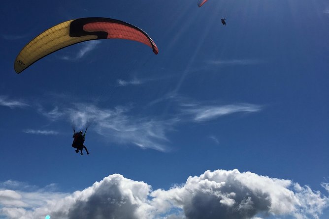 Tandem Paragliding over the Rugged Lava Fields at Blue Mountains - How much value do you get for $254.22?