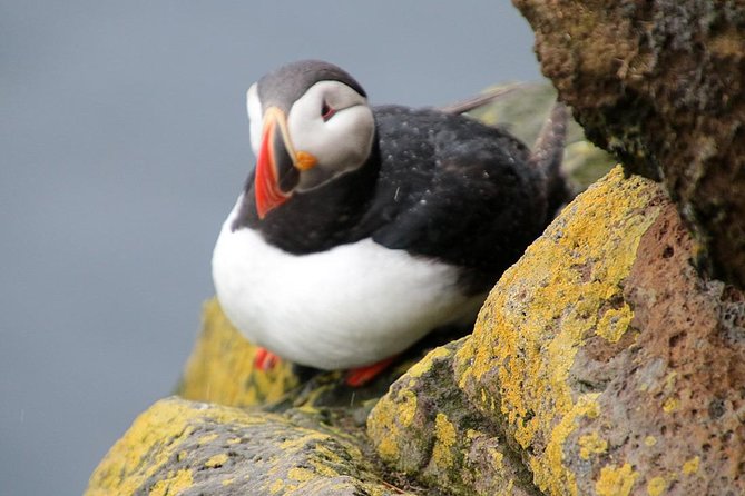 The Great Round Tour: Around Iceland in 13 Days - Days 4 to 6: Icebergs, remote farms, and volcanic ground