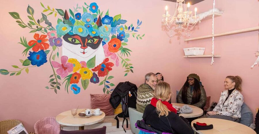 The Private Reykjavik CatWalk - Why this cat walk is more than a novelty