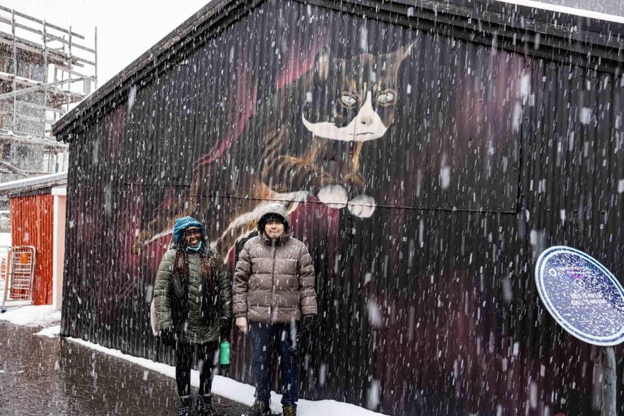 The Private Reykjavik CatWalk - Guides, languages, and the pace of the experience