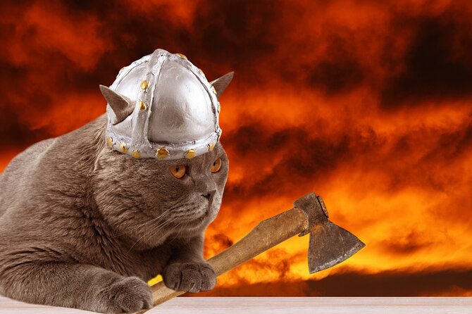 The Reykjavik Cat Walking Tour - Ingólfstorg: begin with Iceland’s settlement story