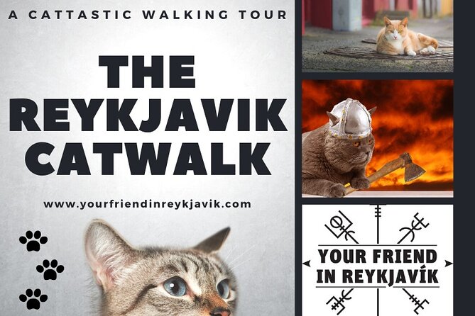 The Reykjavik Cat Walking Tour - The guides make or break this small walking tour