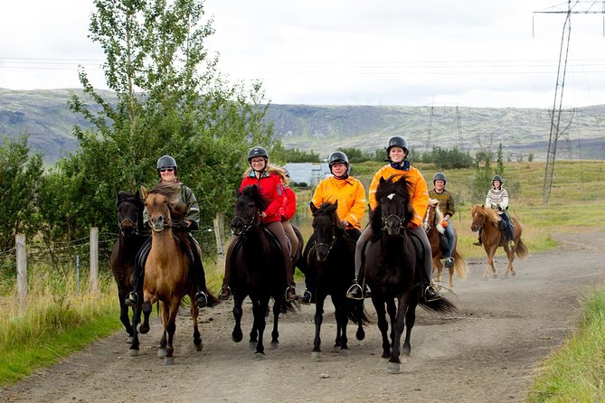 The Siggi Tour from Reykjavík: 1.5 to 2-Hour Ride - Key points to know before booking