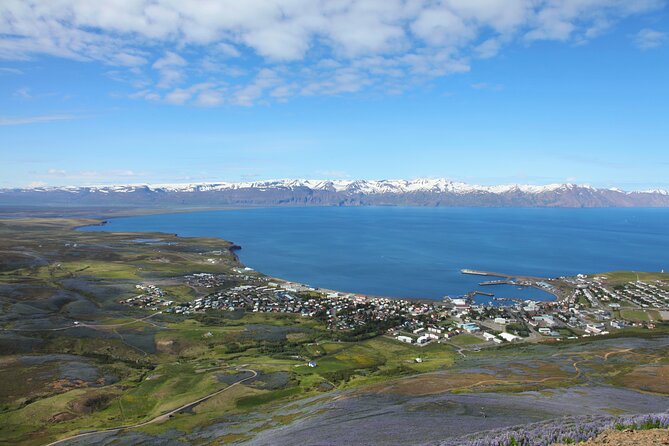 The Story of Fire Saga Eurovision: Netflix Húsavík Walking Tour - Starting at Garðarsbraut 5 at 11:00 am