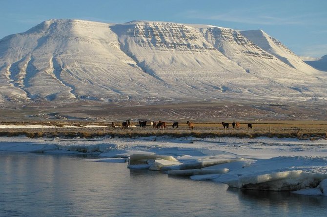 The Viking Horse Riding Experience in North Iceland - From check in to the first trail