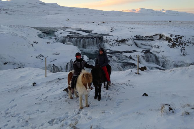 The Viking Horse Riding Experience in North Iceland - Why beginners tend to feel at ease
