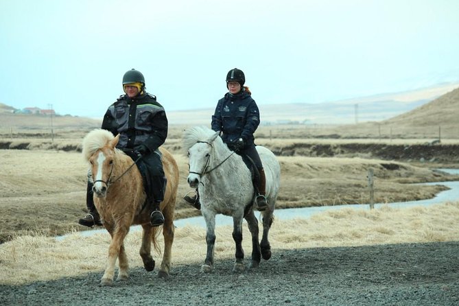 The Viking Horse Riding Experience in North Iceland - Is the $123.75 price good value?