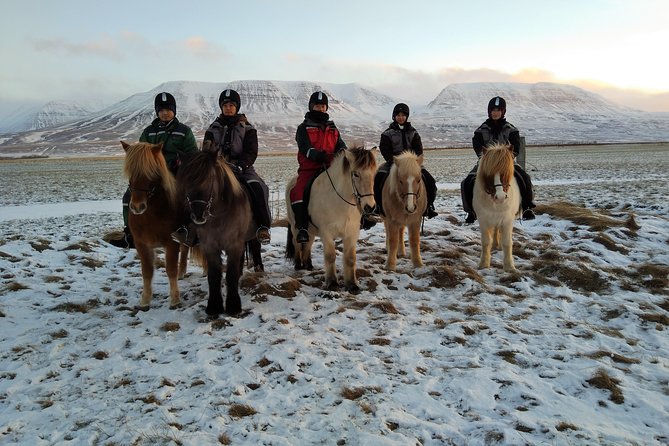The Viking Horse Riding Experience in North Iceland - Who should book this ride?