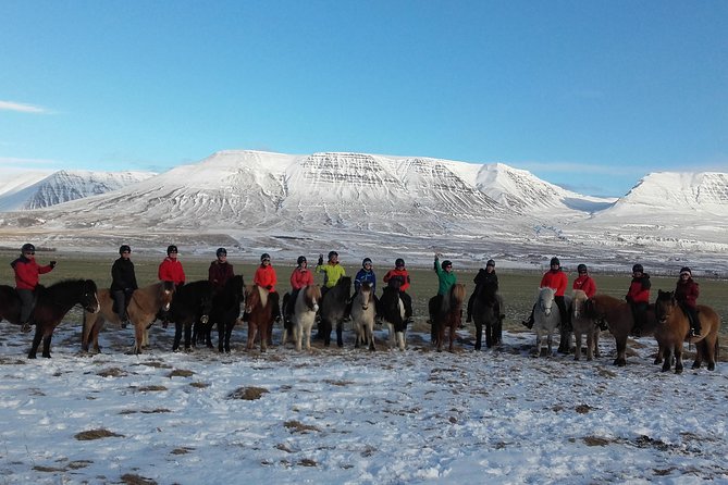 The Viking Horse Riding Experience in North Iceland - Snow, river country, and the waterfall