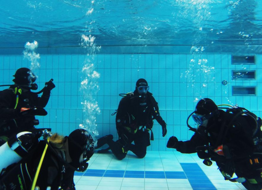 Thingvellir: Silfra Fissure Diving with Optional Pickup - Is $281 a fair price?