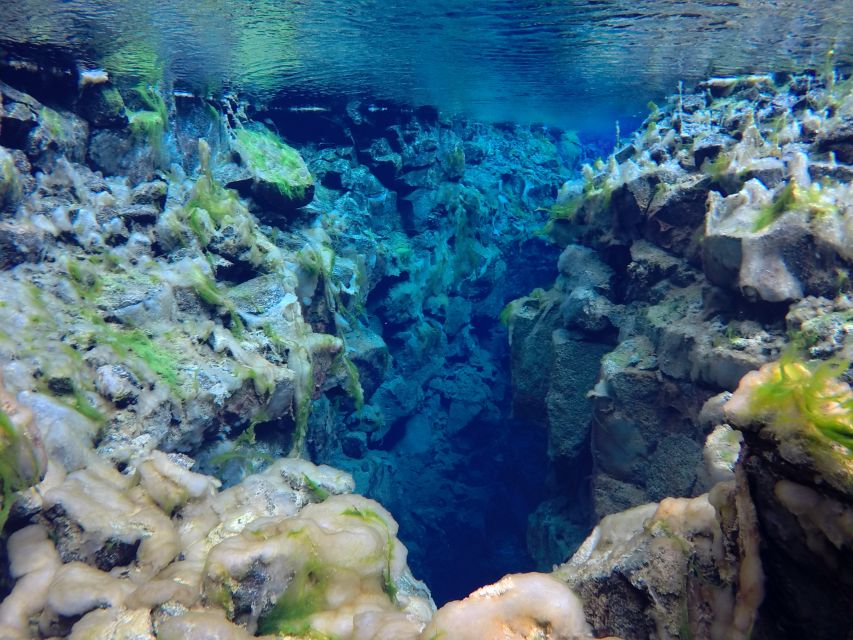 Thingvellir: Silfra Freedive Adevnture with a Guide - Who should book this experience