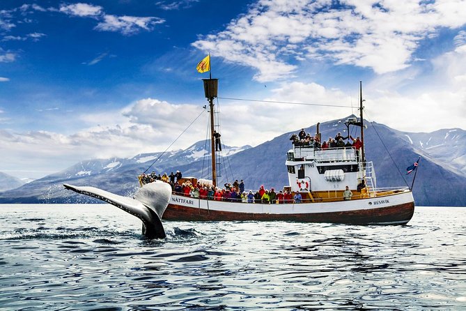 Traditional Oak Ship Whale Watching Tour From Husavik - Sailing from Húsavík, Iceland’s whale-watching port