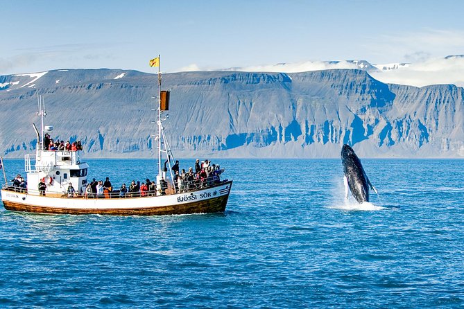 Traditional Oak Ship Whale Watching Tour From Husavik - Warm suits, motion, and what to wear