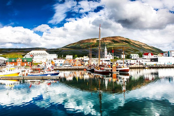 Traditional Oak Ship Whale Watching Tour From Husavik - Hot chocolate and the trip home