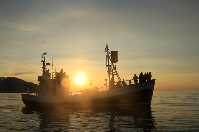 Traditional Whale Watching from Húsavík by Local Family Company - Is $102.58 a fair price?