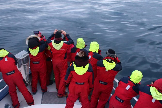 Two-In-One: Whale & Puffin Watching Tours from Reykjavik - Warm Clothing, Indoor Views, and Sea Conditions