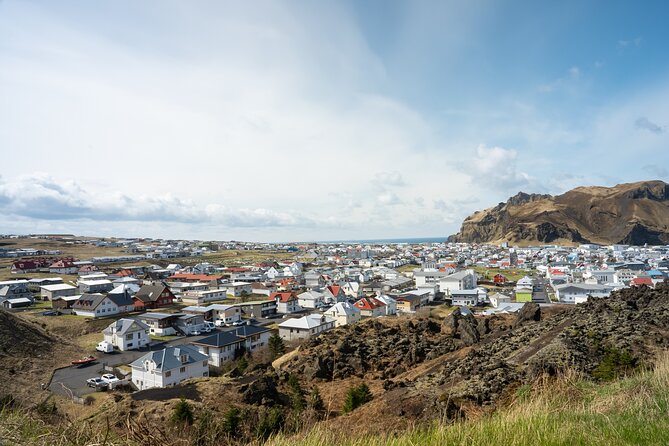 Vestmannaeyjar, Puffins & Volcanoes Small Group Day Tour - Key things to know before you book