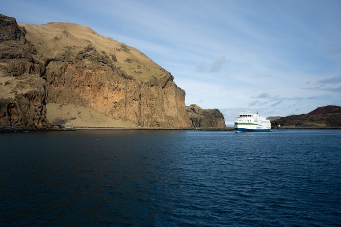 Vestmannaeyjar, Puffins & Volcanoes Small Group Day Tour - Puffin watching at Stórhöfði