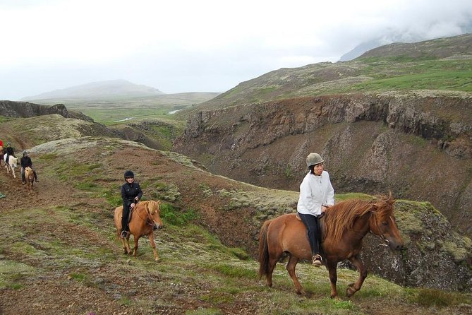 Viking Horse Riding and Golden Circle Tour from Reykjavik - Geysir and Strokkur: steam, mud, and sudden water