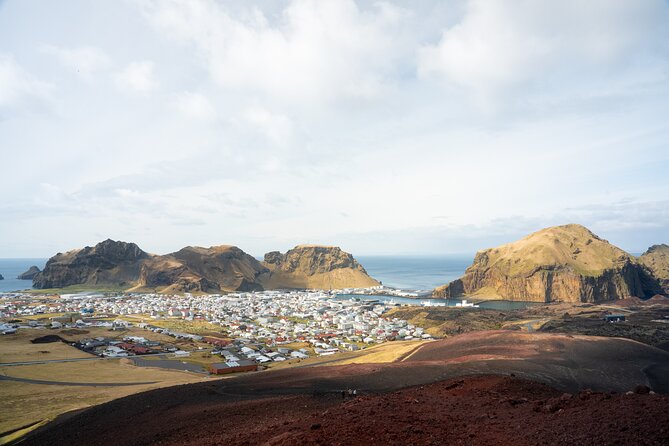 Westman Islands, Volcanoes and Puffins Small Group Tour - Puffin watching in changing weather