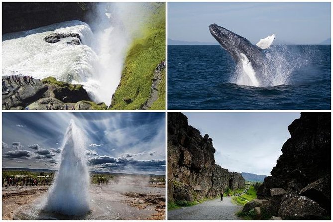 Whale Watching and Golden Circle Tour from Reykjavik - Strokkur and the hot springs of Haukadalur