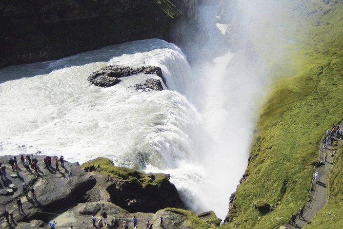 Whale Watching and Golden Circle Tour from Reykjavik - Is $192 good value?