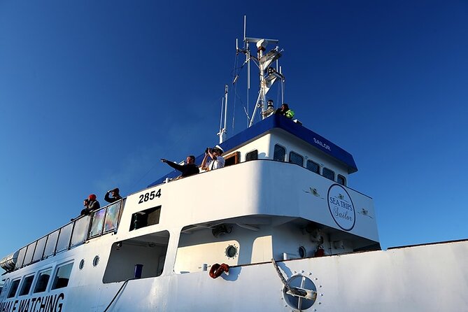 Whale Watching and Marine Life Tour in Reykjavik - Who should choose this Reykjavik whale tour?