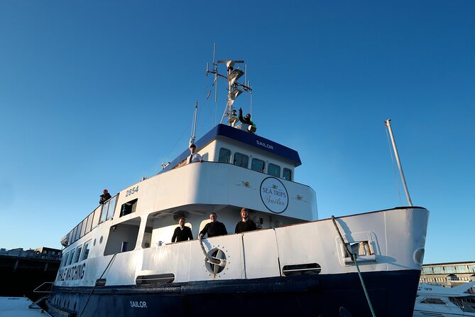 Whale Watching and Marine Life Tour in Reykjavik - Searching Faxafloi Bay for whales