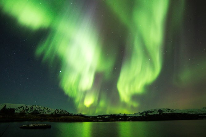 Whale Watching and Northern Lights Half-Day Combo Tour - Two Iceland spectacles, but two separate outings
