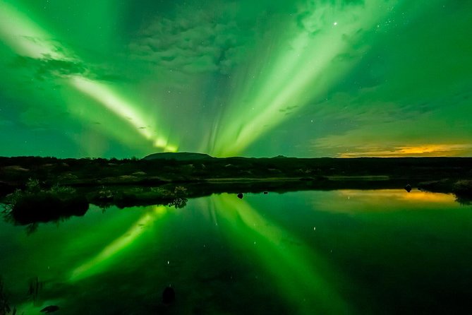 Whale Watching and Northern Lights Half-Day Combo Tour - The free return ticket is useful, not magic