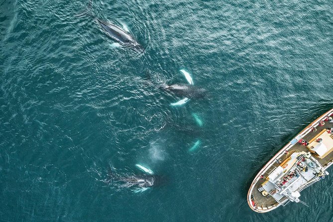 Whale Watching and Sea Angling Tour - Warm overalls, coffee, and cookies make a real difference