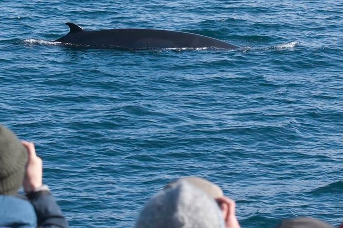 Whale Watching & ATV Adventure from Reykjavik - Riding up the fell above Reykjavik